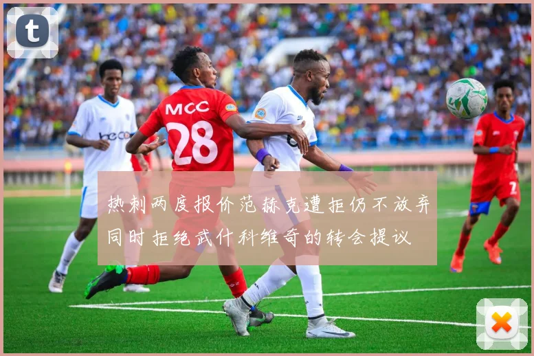 热刺两度报价范赫克遭拒仍不放弃同时拒绝武什科维奇的转会提议